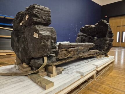 Bronze Age wooden coffin ready for display - History Blog
