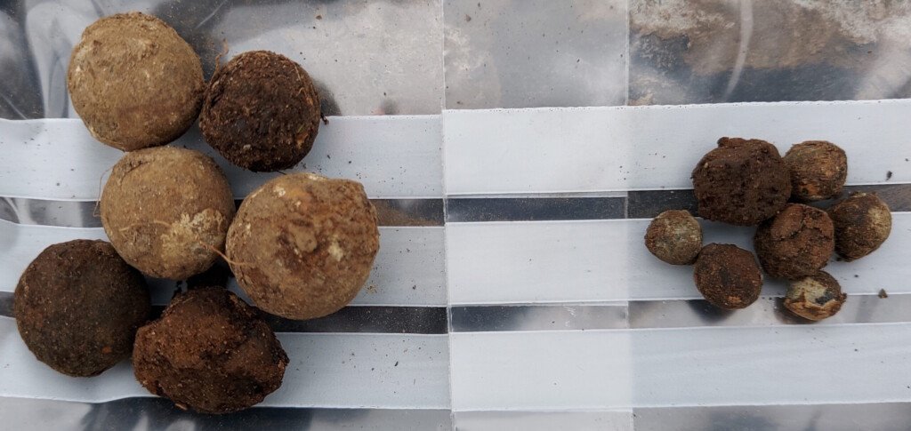 Jacobite projectiles discovered at Culloden – History Blog