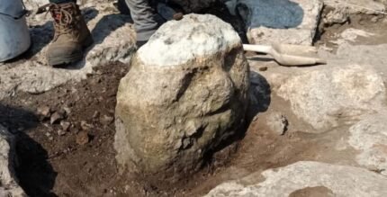 Mayan 'Old Lord' Marking Discovered in Yucatan - History