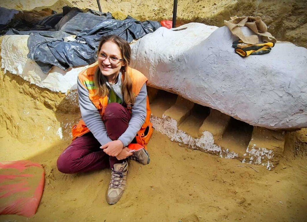 Scientists name ancient shark fossil after chainsaw man