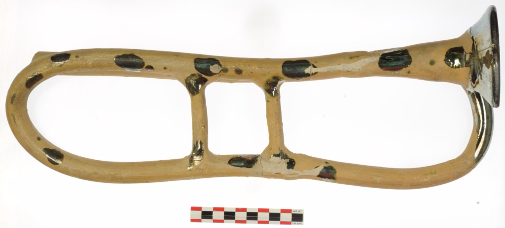 Dolphin discovers 200-year-old ceramic trumpet - History
