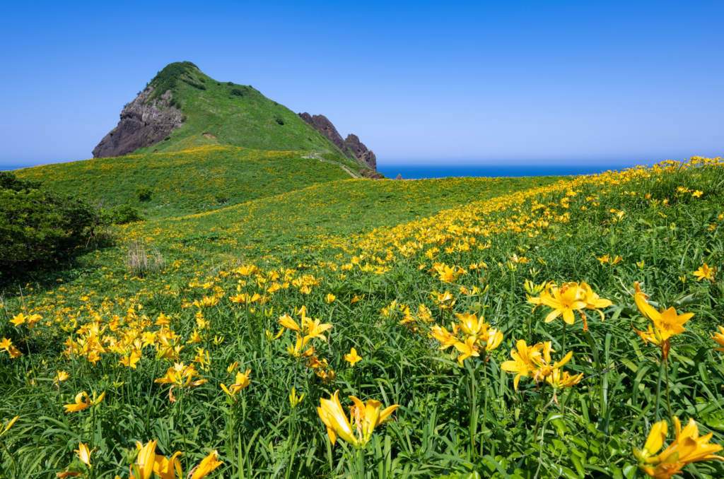 Japan’s Most Mysterious Island Escape
